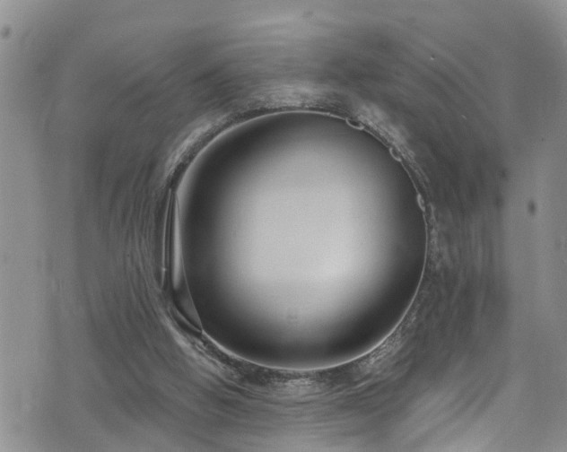 X0000074940058200609011126