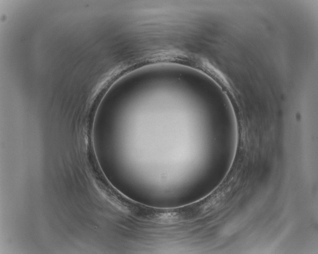 X0000074940059200609011126