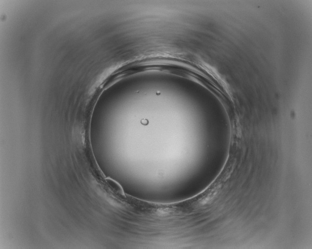 X0000074940060200609011126