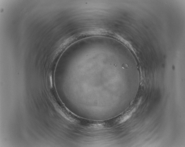 X0000074940061200609011126