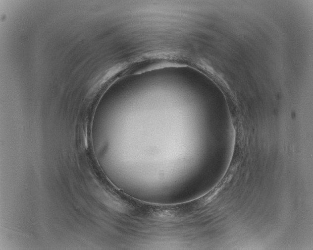 X0000074940062200609011126