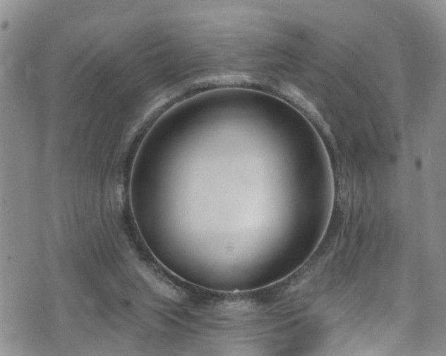 X0000074940063200609011126