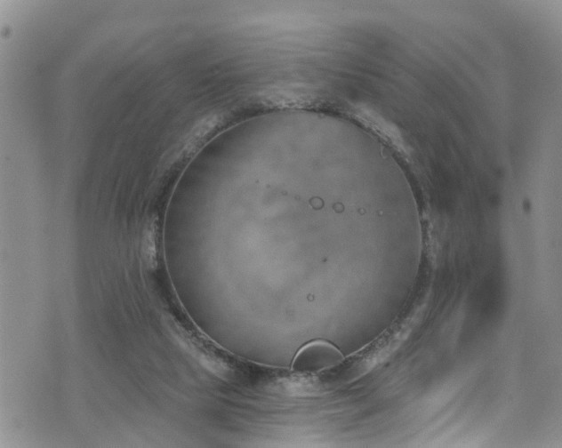 X0000074940065200609011126