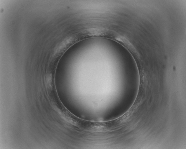 X0000074940066200609011126