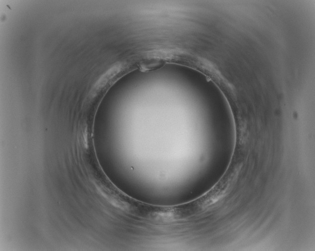 X0000074940068200609011126