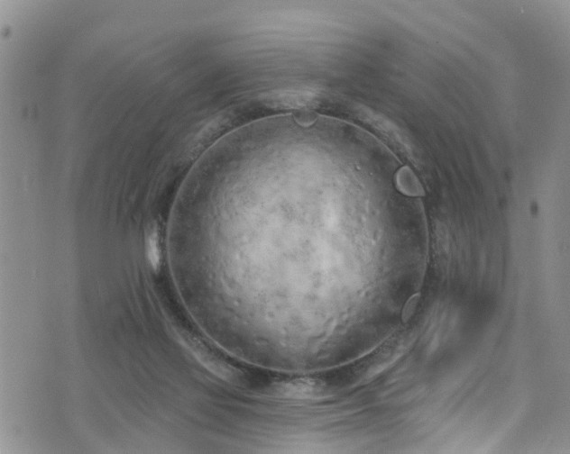 X0000074940069200609011126