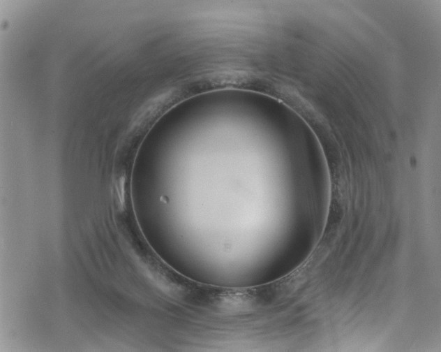 X0000074940070200609011126