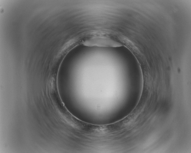 X0000074940071200609011126