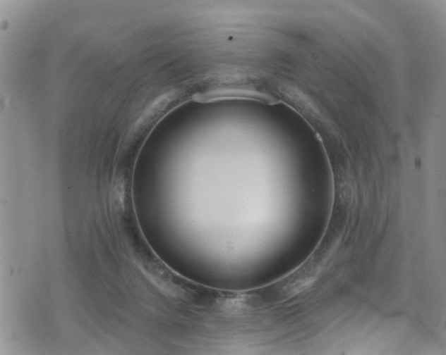 X0000074940072200609011126