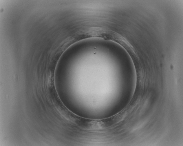 X0000074940073200609011126