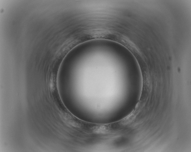 X0000074940074200609011126