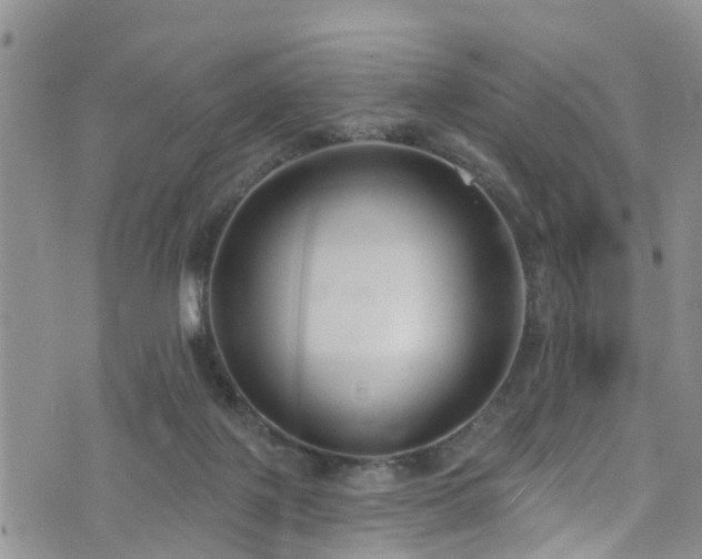 X0000074940075200609011126