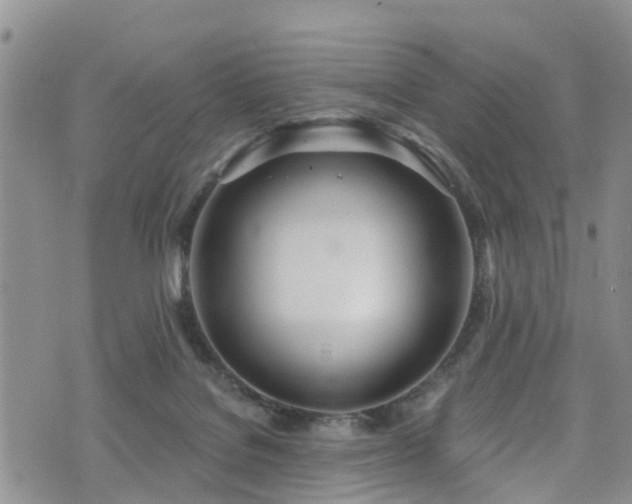 X0000074940076200609011126