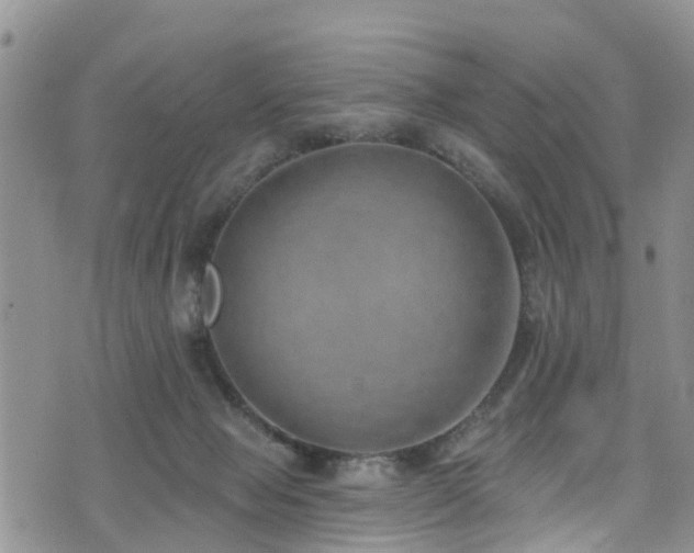 X0000074940077200609011126