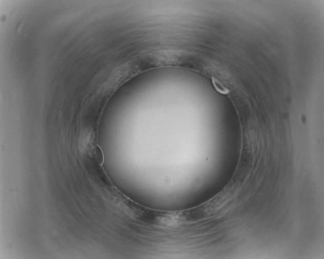 X0000074940079200609011126