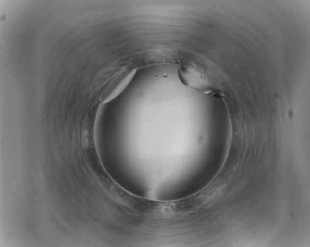 X0000074940080200609011126