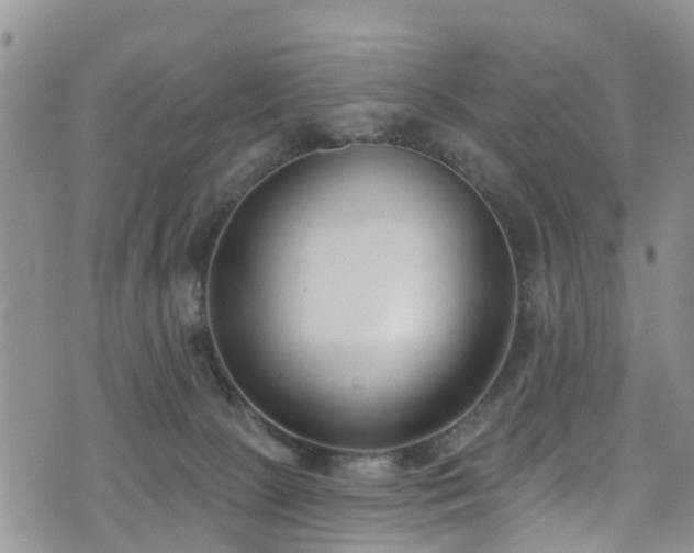 X0000074940081200609011126