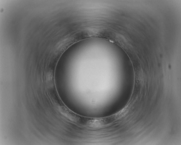 X0000074940082200609011126