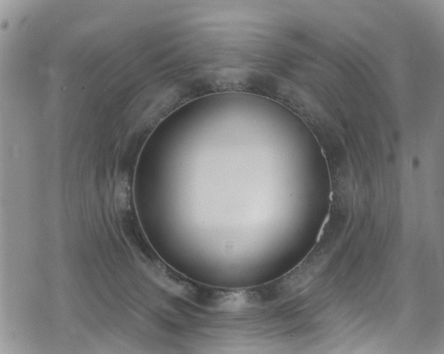 X0000074940083200609011126