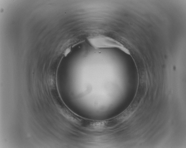 X0000074940084200609011126