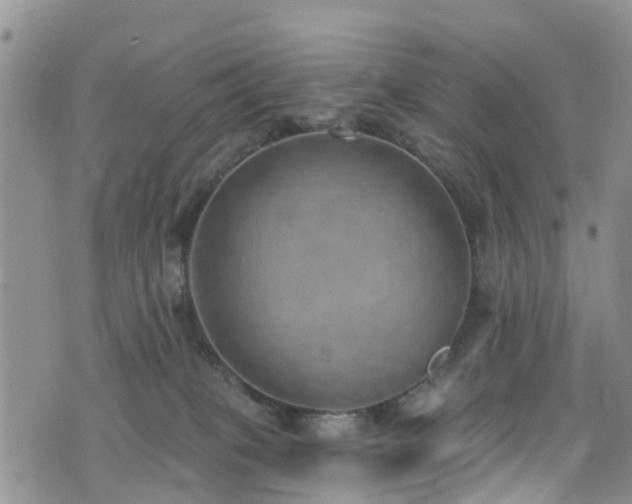 X0000074940085200609011126