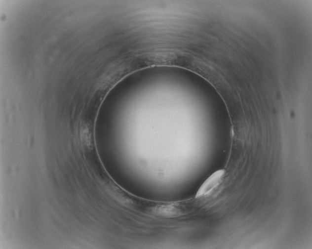 X0000074940086200609011126