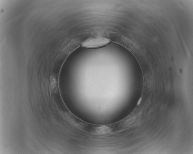 X0000074940087200609011126