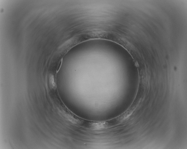 X0000074940089200609011126