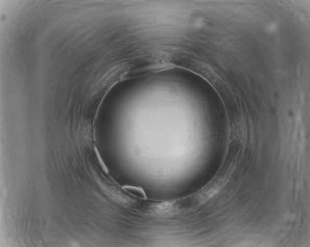 X0000074940092200609011126