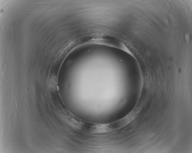 X0000074940093200609011126