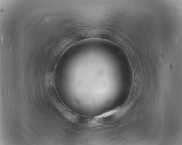 X0000074940096200609011127