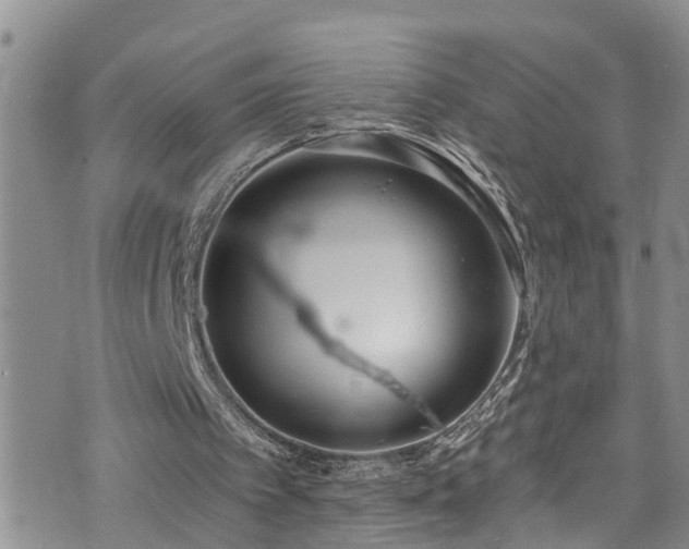 X0000074940097200609011126