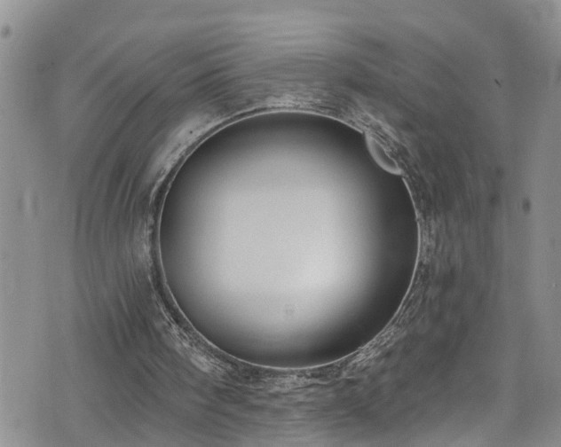 X0000074940098200609011126