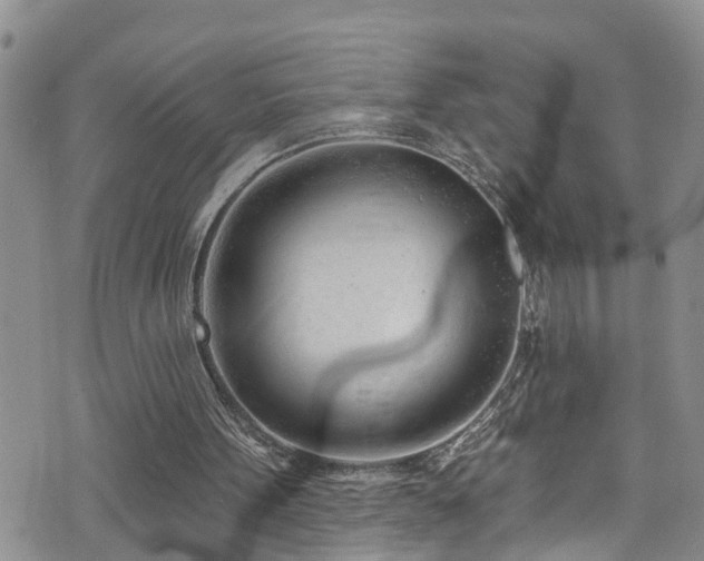 X0000074940099200609011126