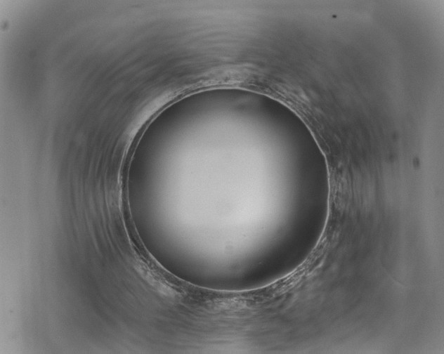 X0000074940100200609011126