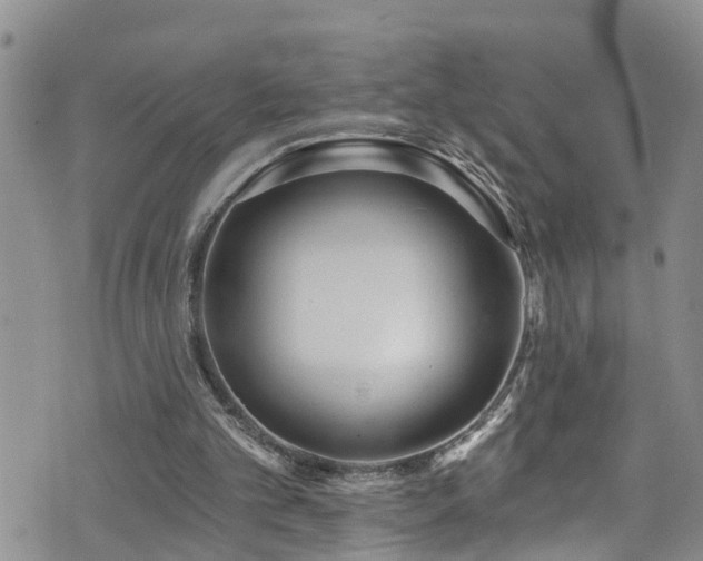 X0000074940101200609011126