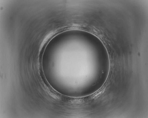 X0000074940102200609011126