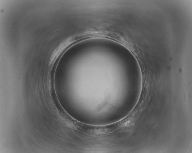 X0000074940103200609011126