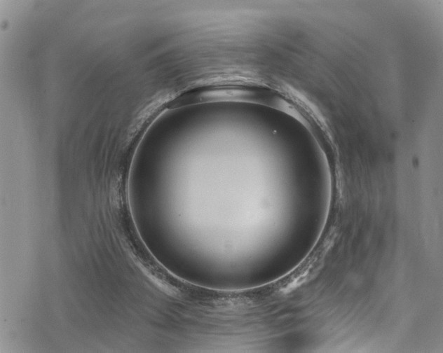 X0000074940105200609011126