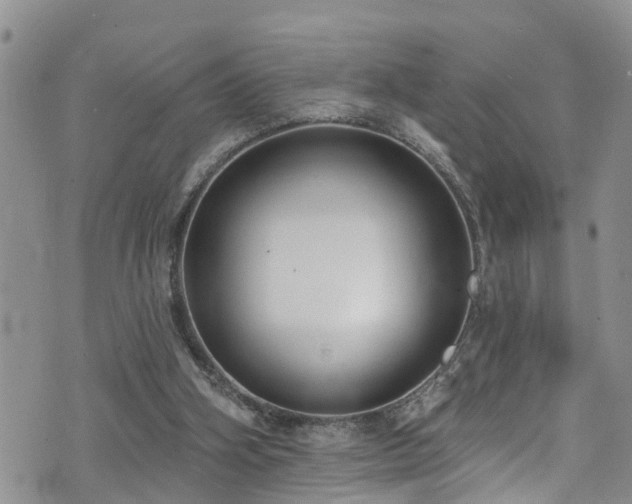 X0000074940106200609011126