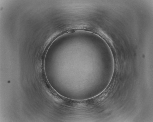 X0000074940107200609011126