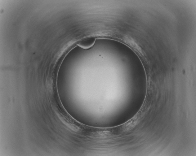 X0000074940108200609011126