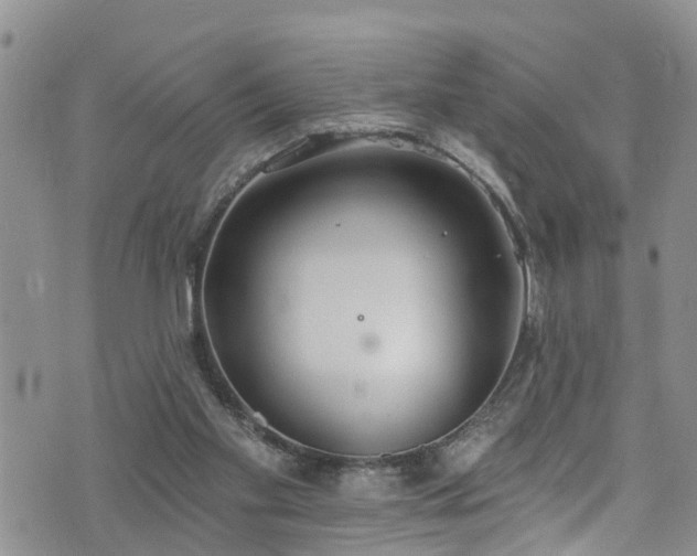 X0000074940109200609011126