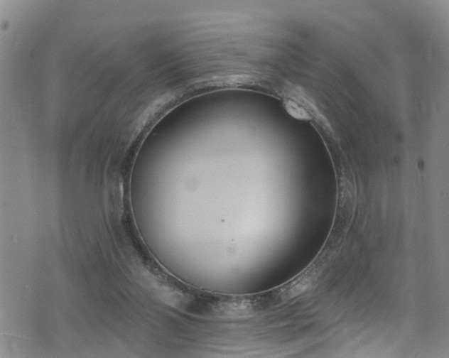 X0000074940110200609011126