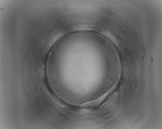 X0000074940111200609011126