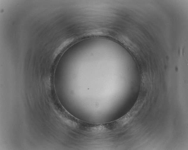 X0000074940112200609011126