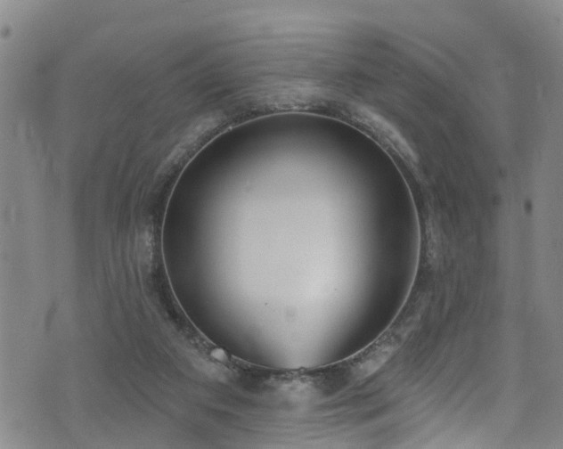 X0000074940113200609011125