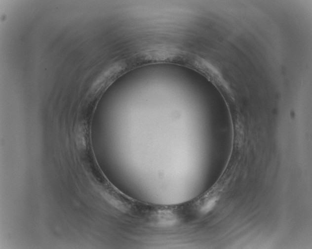 X0000074940114200609011125