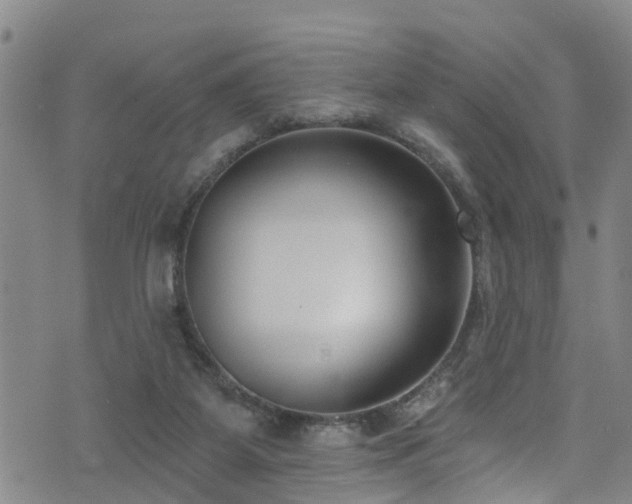 X0000074940115200609011125