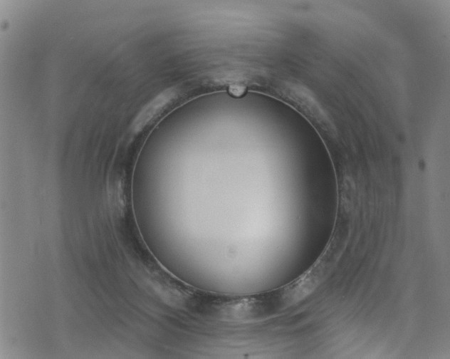 X0000074940116200609011125